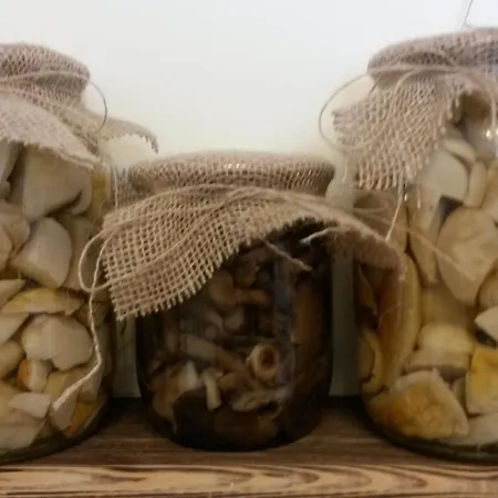 Tysaborkut * Квасы